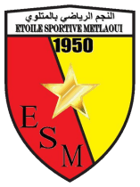 team logo